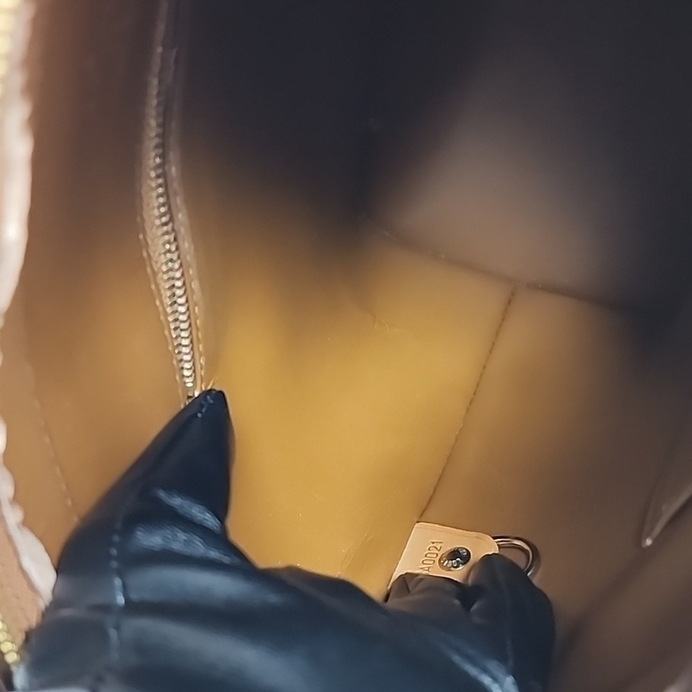 Louis Vuitton Shiny Copper Tote - Picture 9 of 10